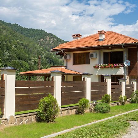 Guest House Vitora Ribaritsa المظهر الخارجي الصورة