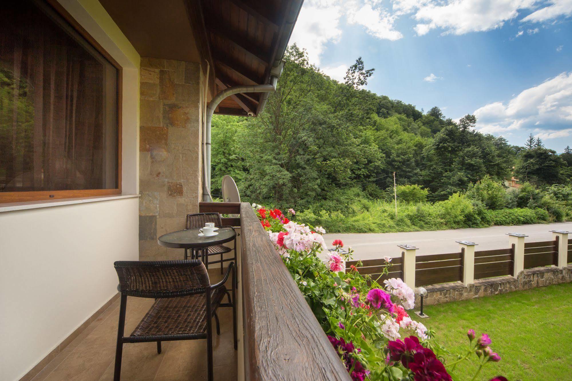 Guest House Vitora Ribaritsa المظهر الخارجي الصورة